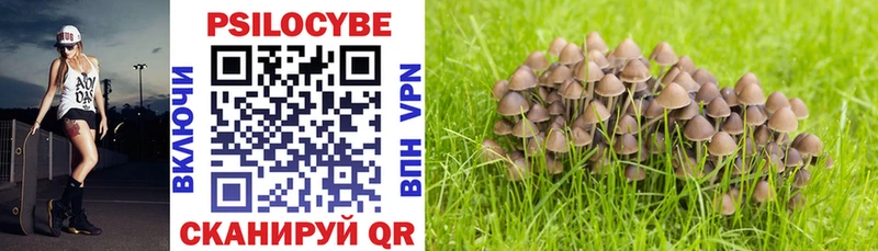 Псилоцибиновые грибы прущие грибы  Ветлуга 